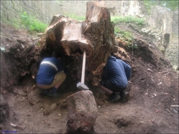 ouf travail sécurité humour Autres Bucheron Ecrasement
