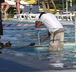 riant travail sécurité humour Risque électrique Electricité piscine