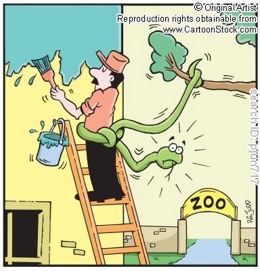 lol travail sécurité humour Chute de hauteur EPI Hauteur EPI Echelle Animaux