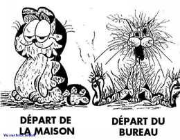 cocasse travail sécurité humour stress au travail Stress Bureau