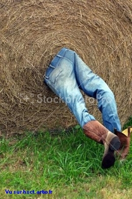 étonnant travail sécurité humour Risque machine Machine Agricole