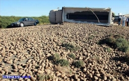 étonnant travail sécurité humour Transport Transport Camion