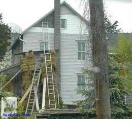 drôle travail sécurité humour Chute de hauteur Bâtiment Hauteur Echelle Echafaudage