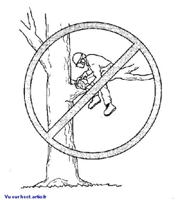 étonnant travail sécurité humour Chute de hauteur Hauteur bucheron Affichage