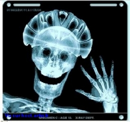 drôle travail sécurité humour EPI EPI Casque Médecine du Travail