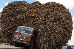 camion transport charge énorme drôle sécurité