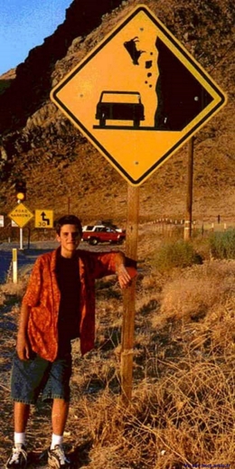 panneau pictogramme attention chute de vache sympa