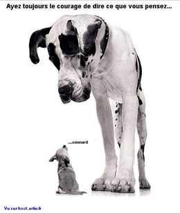 comique travail sécurité humour Droit du travail Droit